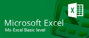 Microsoft Excel - Beginner